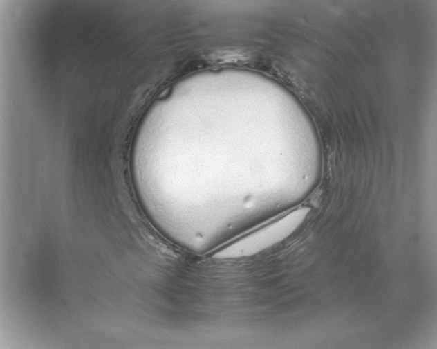 X0000074331393200609230040