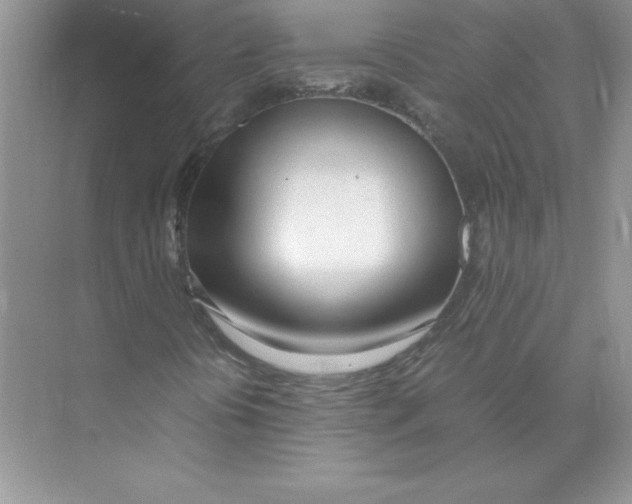 X0000074331394200609230040