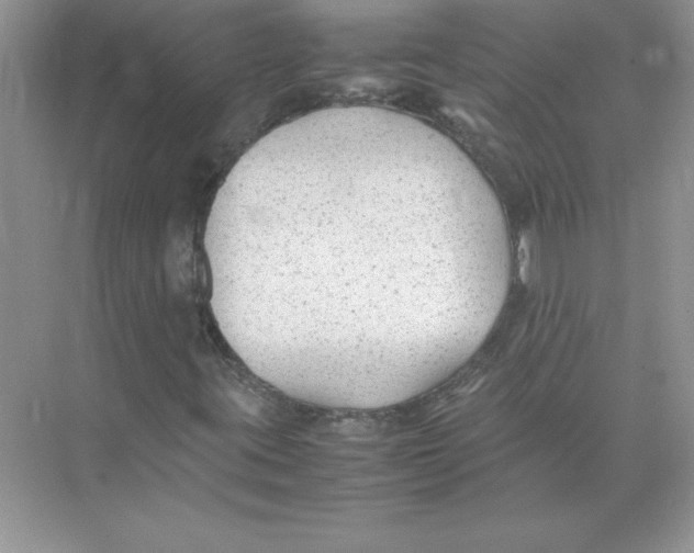 X0000074331395200609230040