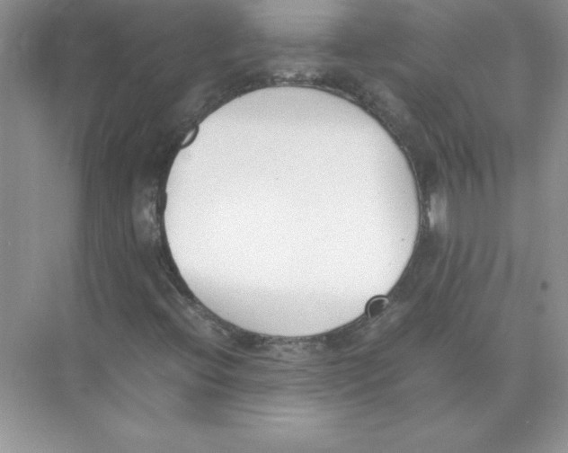 X0000074331396200609230040