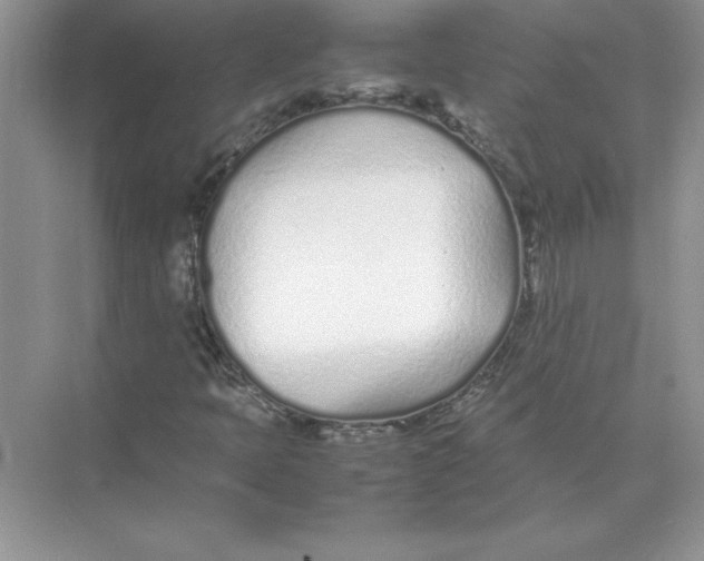 X0000074331397200609230040