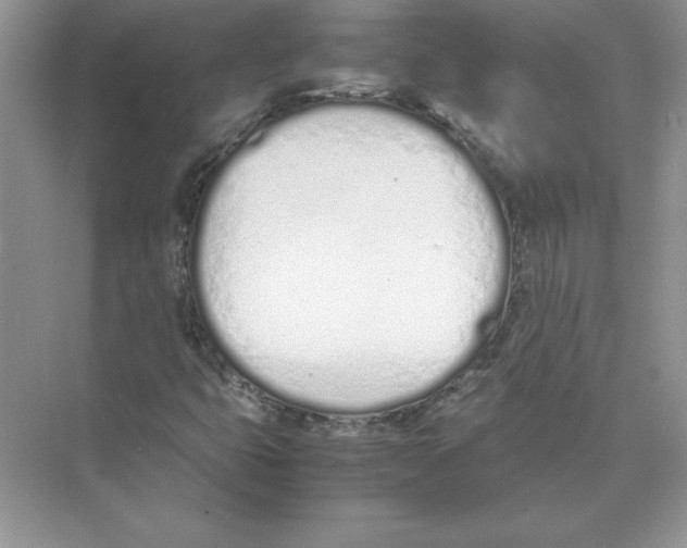 X0000074331399200609230040