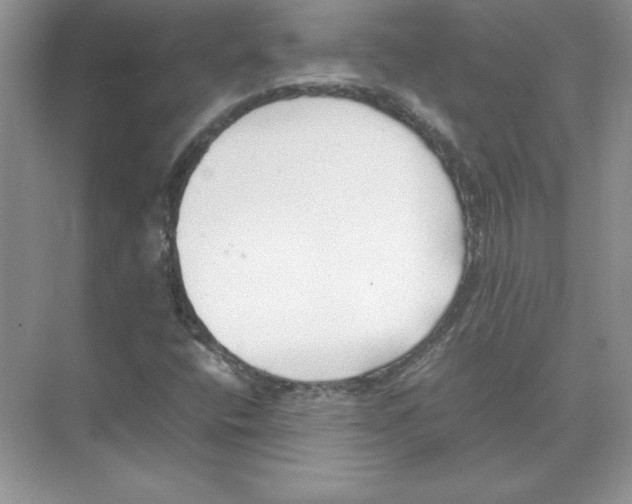 X0000074331400200609230040