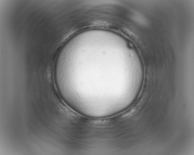 X0000074331401200609230040