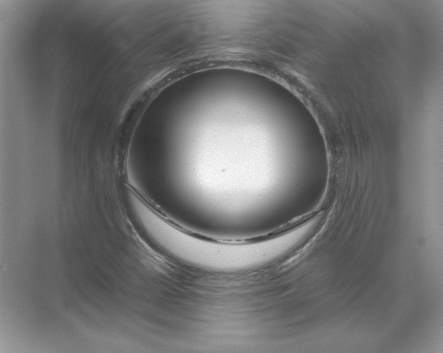 X0000074331402200609230040