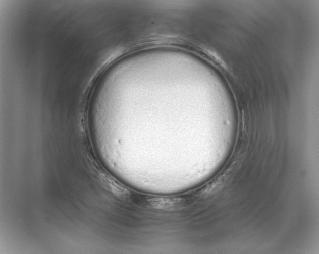 X0000074331405200609230040