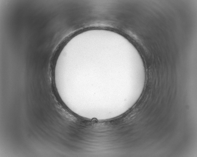 X0000074331408200609230040