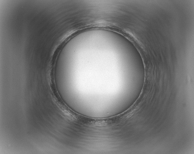 X0000074331410200609230040