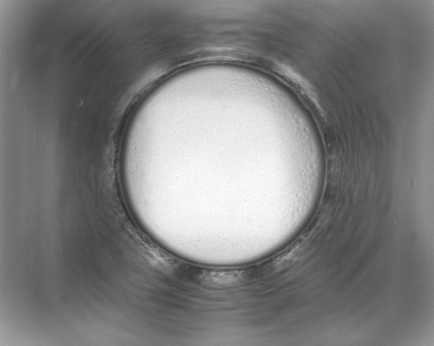 X0000074331411200609230040