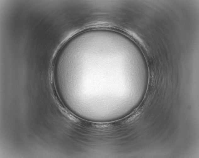 X0000074331413200609230040