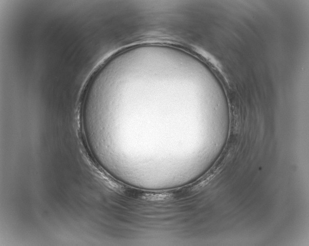 X0000074331415200609230040