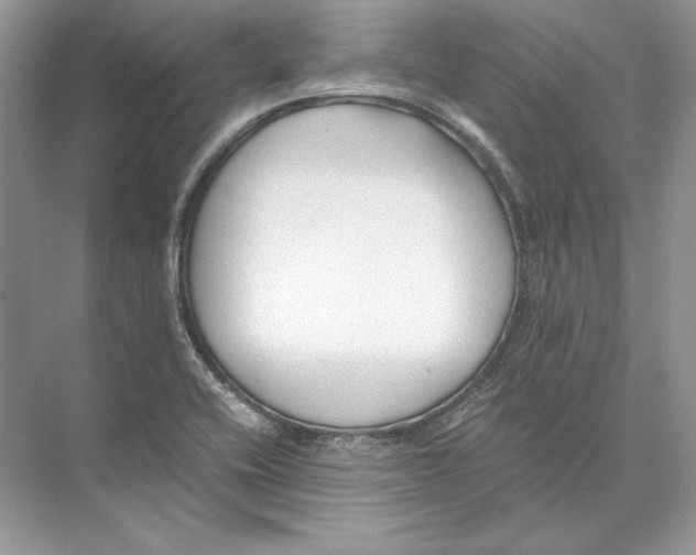 X0000074331416200609230040