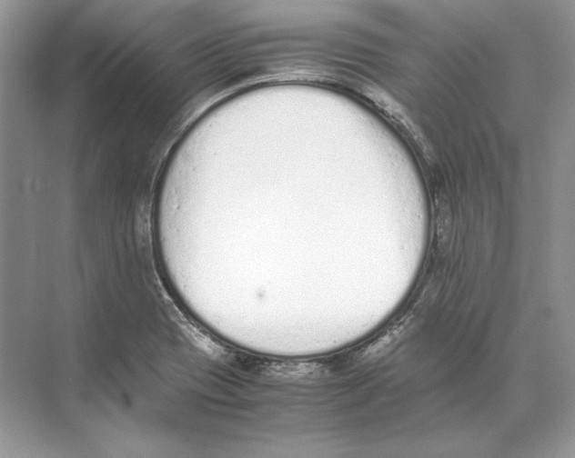 X0000074331417200609230040