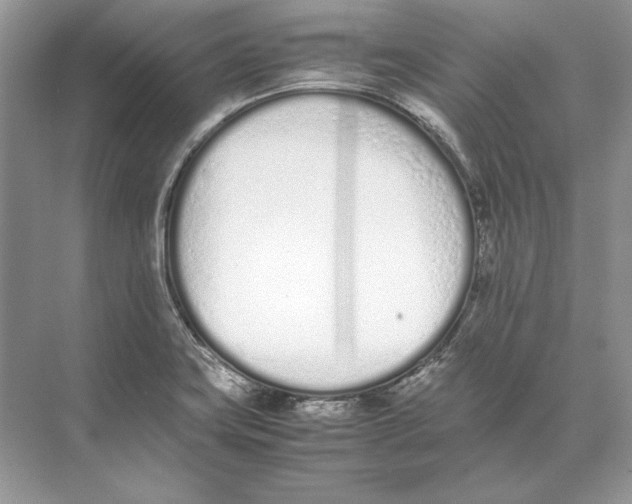 X0000074331419200609230040