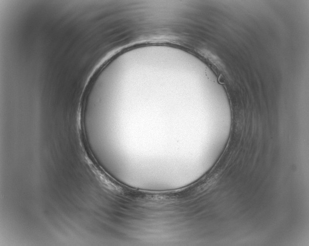 X0000074331420200609230040