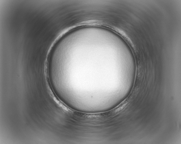 X0000074331421200609230041