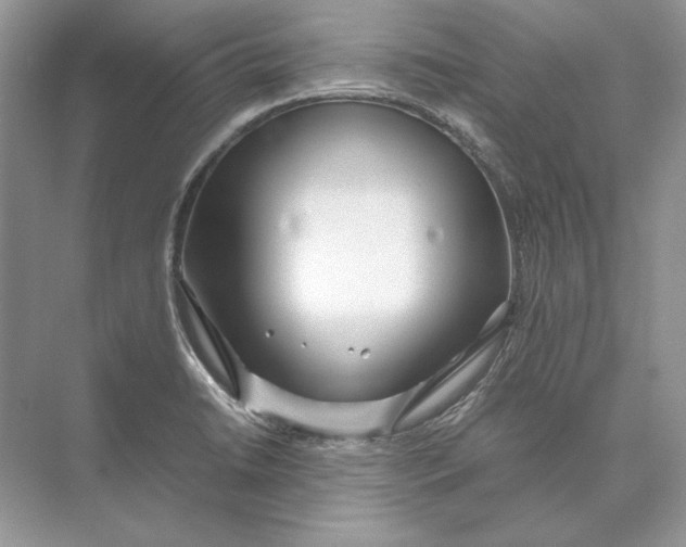 X0000074331422200609230041