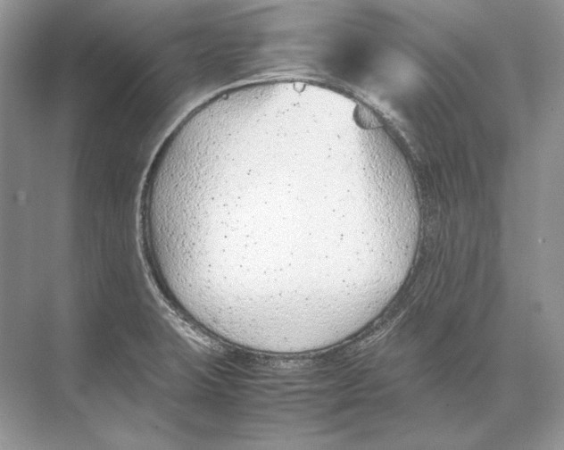 X0000074331423200609230041