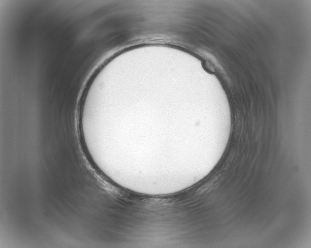 X0000074331424200609230041