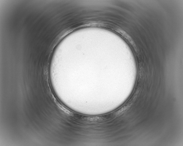 X0000074331425200609230041