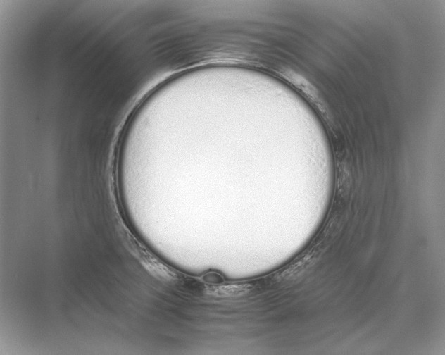 X0000074331427200609230041