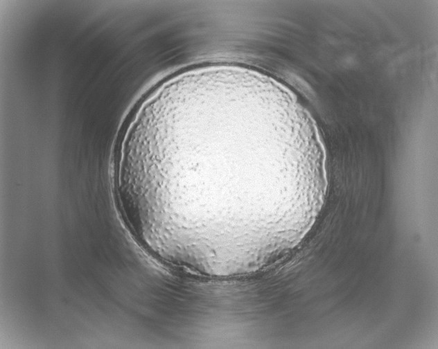 X0000074331428200609230041