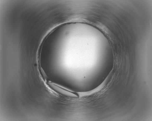 X0000074331430200609230041