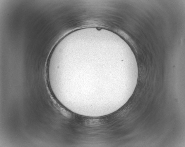 X0000074331431200609230041