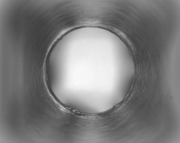 X0000074331432200609230041