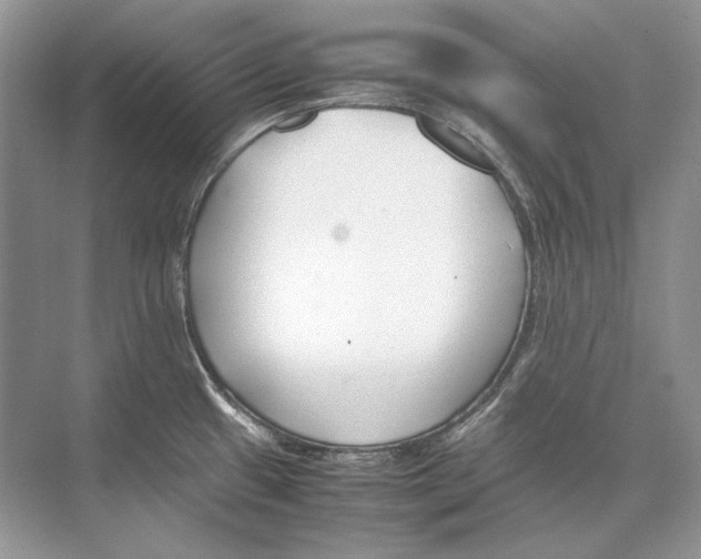 X0000074331433200609230041