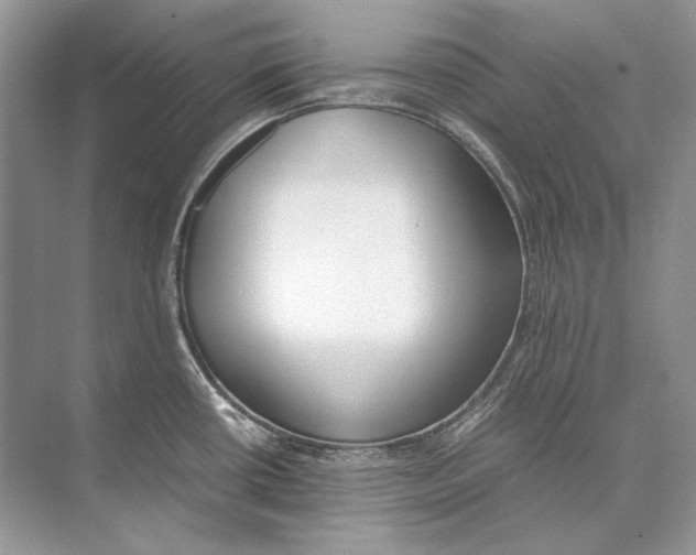 X0000074331434200609230041