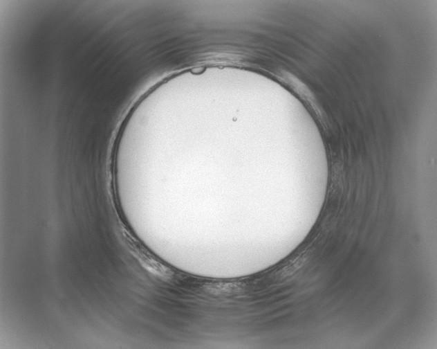 X0000074331435200609230041