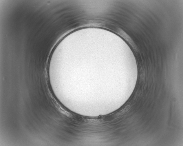 X0000074331436200609230041