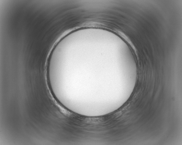 X0000074331437200609230041