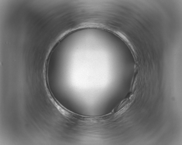 X0000074331438200609230041