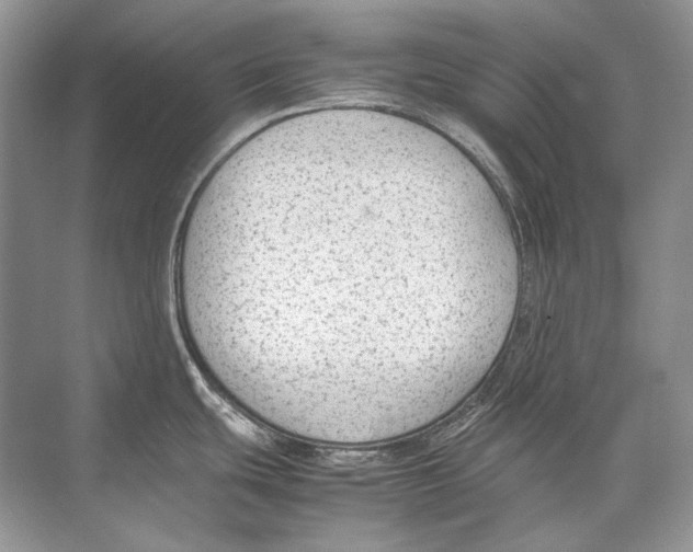 X0000074331439200609230041