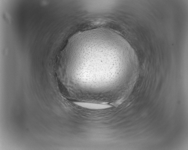 X0000074331441200609230040