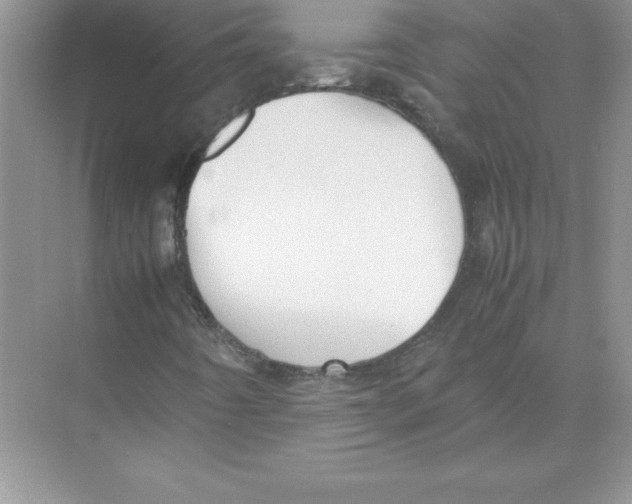 X0000074331442200609230040