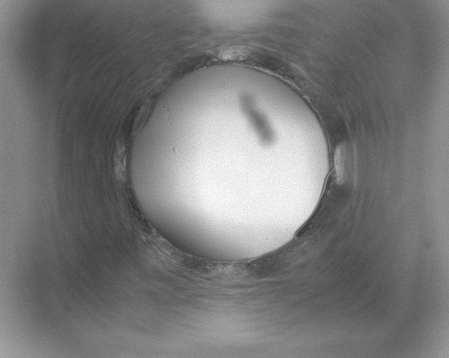 X0000074331443200609230040