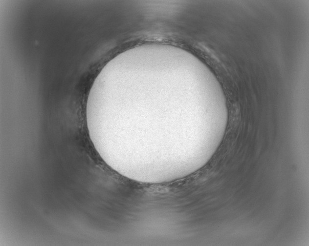 X0000074331446200609230040