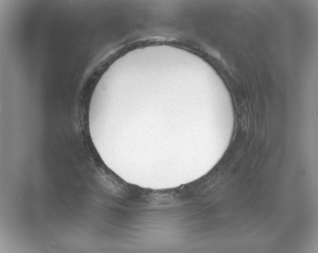 X0000074331448200609230040