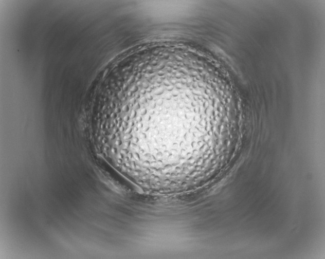 X0000074331449200609230040