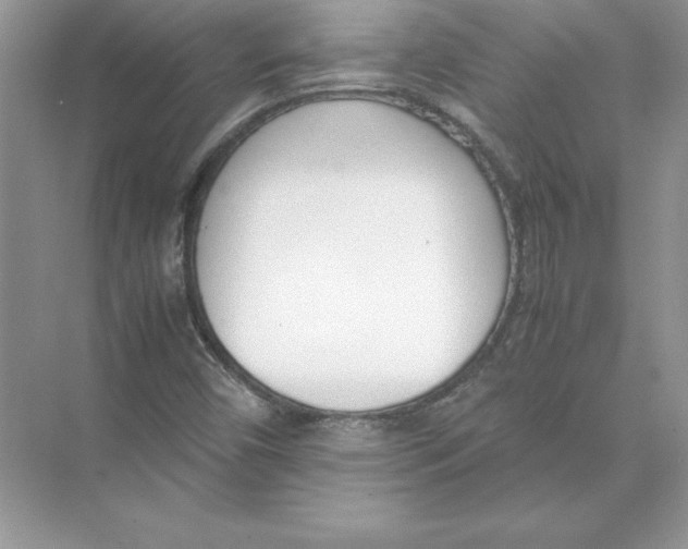 X0000074331450200609230040