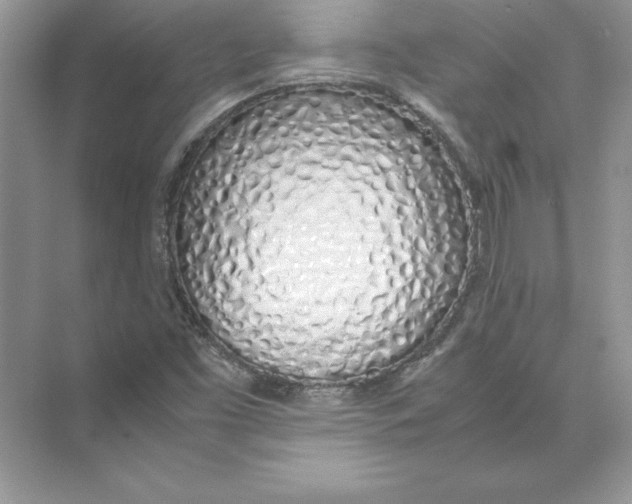 X0000074331453200609230040