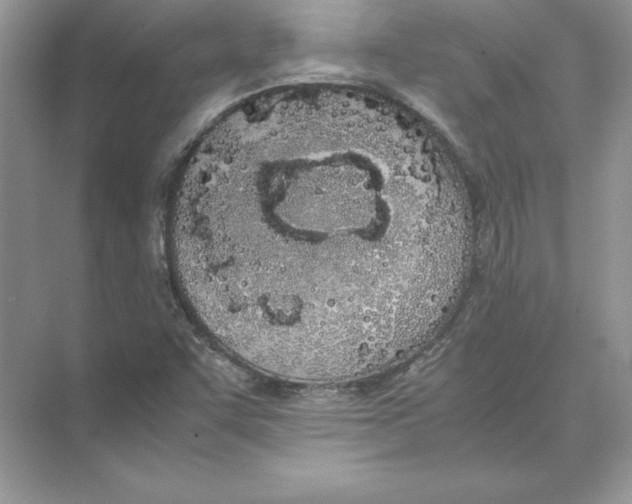 X0000074331455200609230040