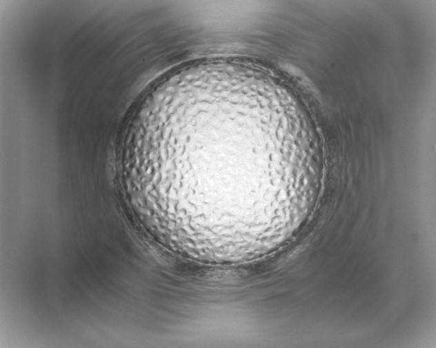 X0000074331457200609230040