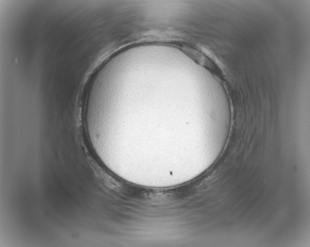 X0000074331459200609230040