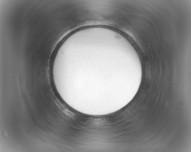 X0000074331460200609230040