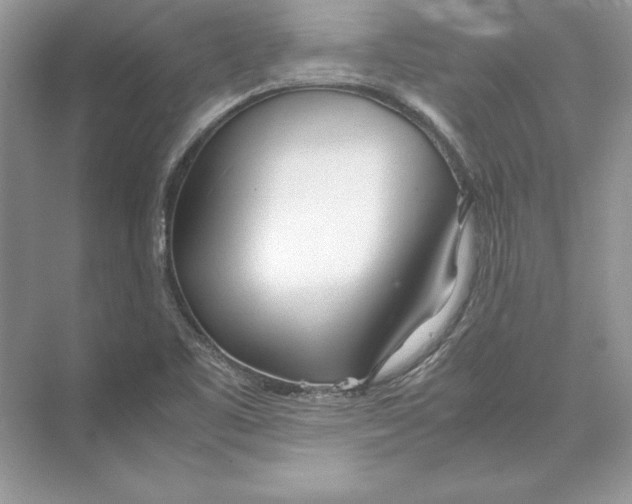 X0000074331461200609230040