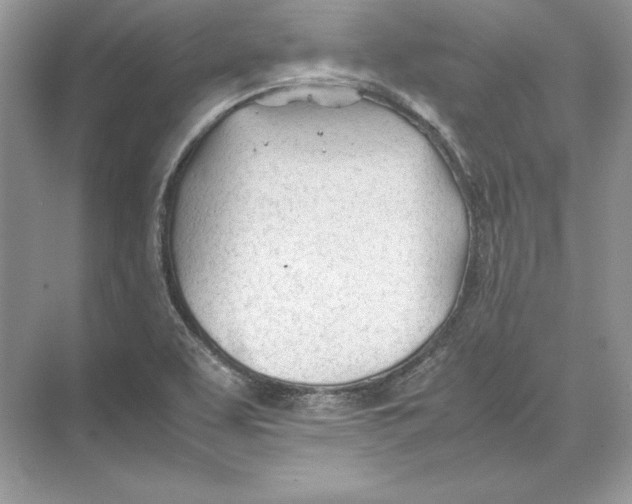 X0000074331463200609230040